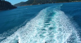 Inside Queen Charlotte Sound, on the way to the South Island