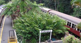 Both the cable car and train terminate in Kuranda. We went back on the train.