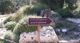 ...to visit the baths of Aphrodite